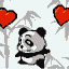 panda coeur