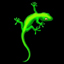lézard