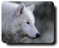 loup